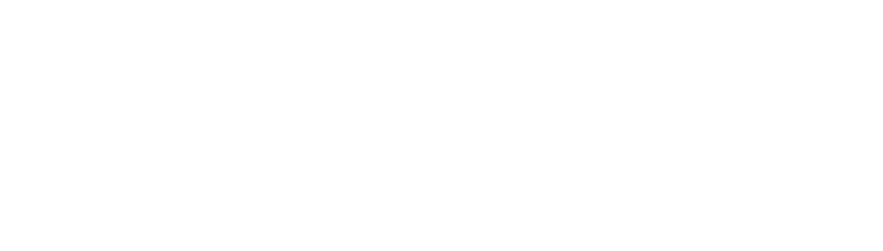 Synergy-2025
