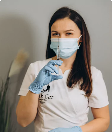 Szkolenie-Hialuronidaza